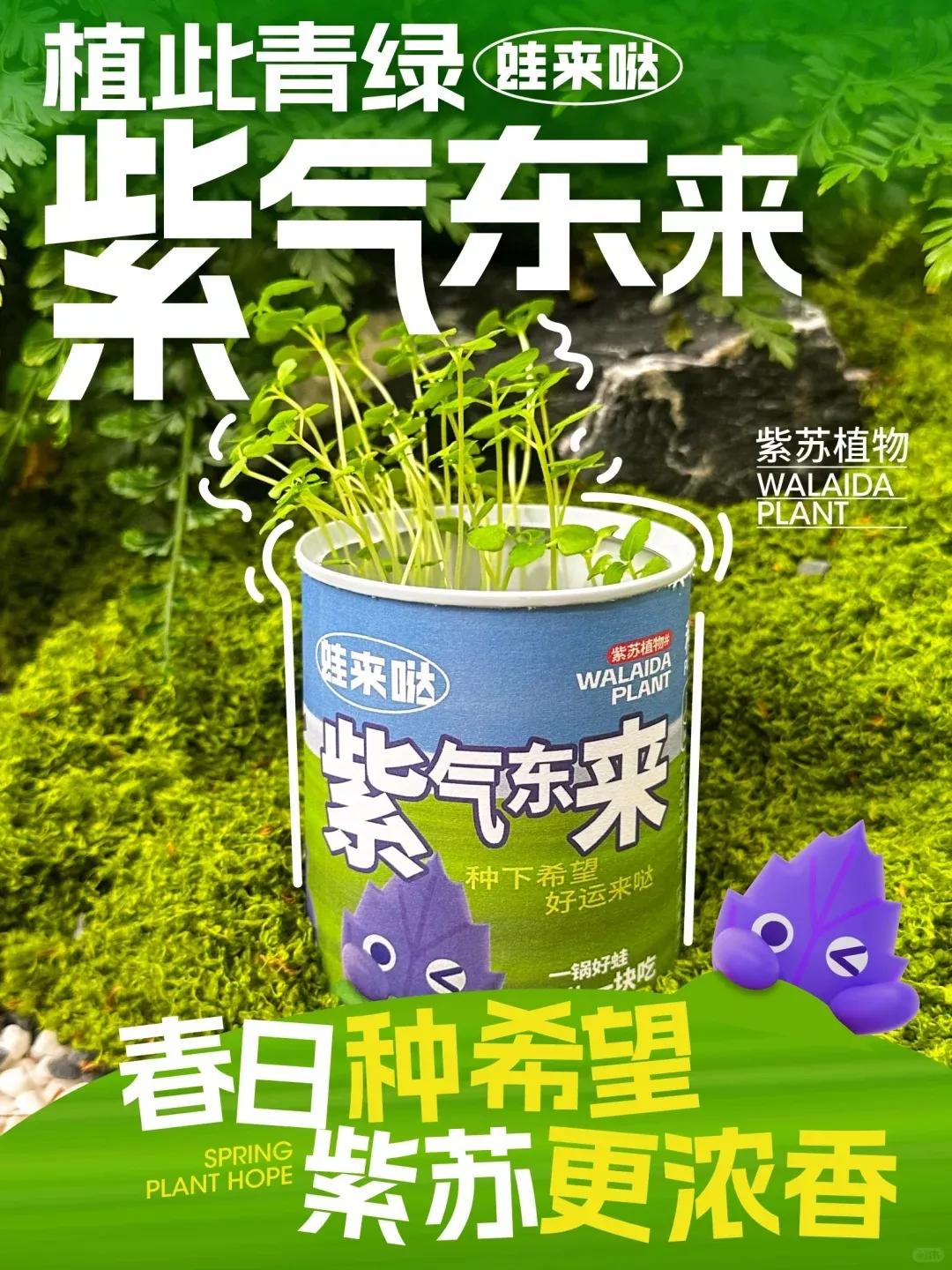 餐饮品牌全案策划设计与全媒体传播